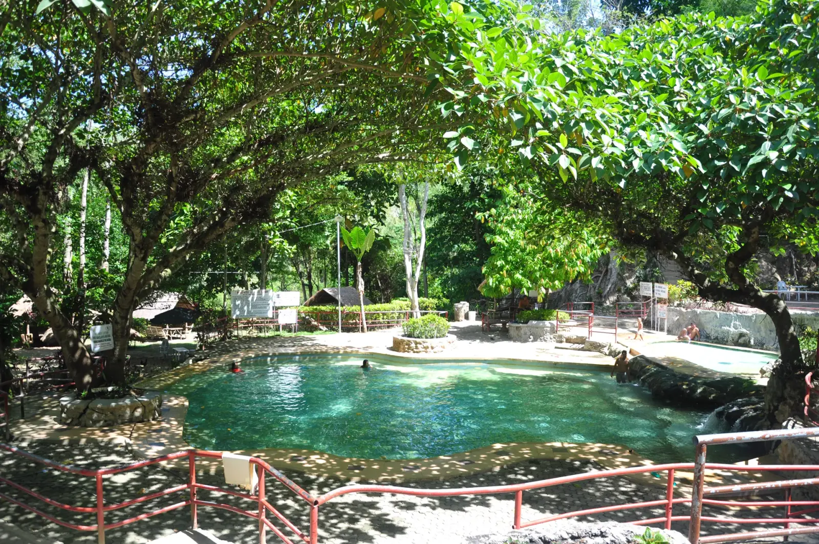 Naturpool mit Naturstein-Einfassung und Gartenbepflanzung am Zürichsee